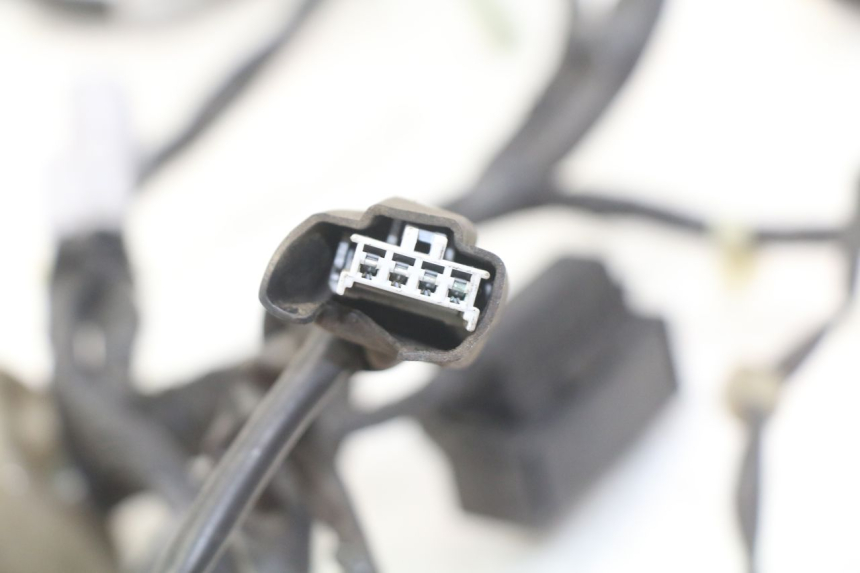 photo de CABLEADO HONDA FORZA 125 (2015 - 2016)