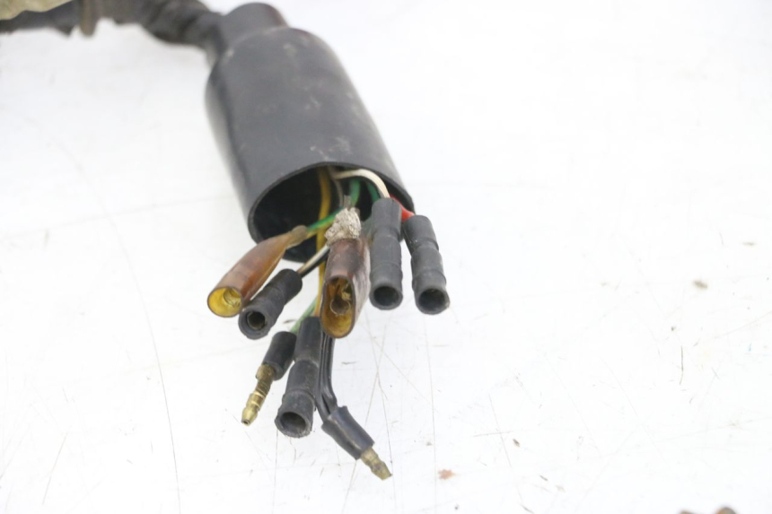 photo de CABLEADO HONDA MTX TC02 125 (1987 - 1989)