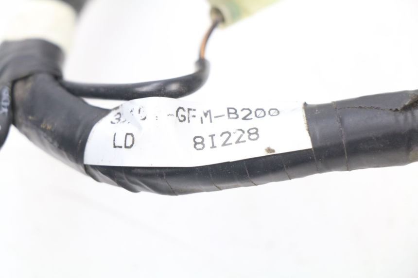 photo de CABLEADO HONDA NHX LEAD 110 (2008 - 2010)