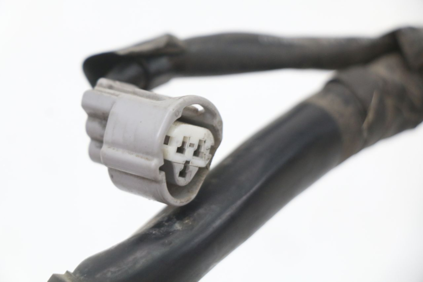 photo de CABLEADO HONDA NHX LEAD 110 (2008 - 2010)