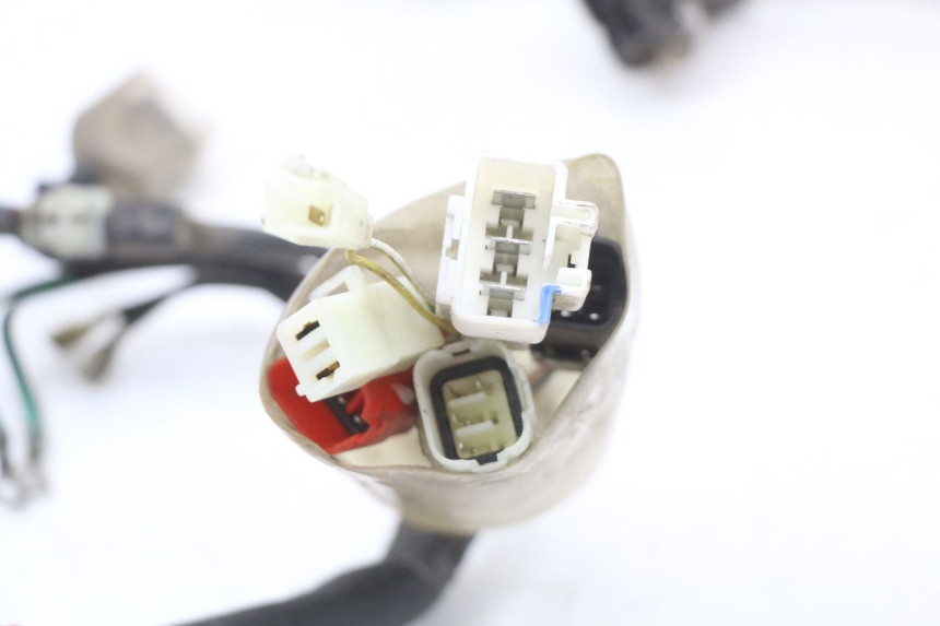 photo de CABLEADO HONDA NHX LEAD 110 (2008 - 2010)