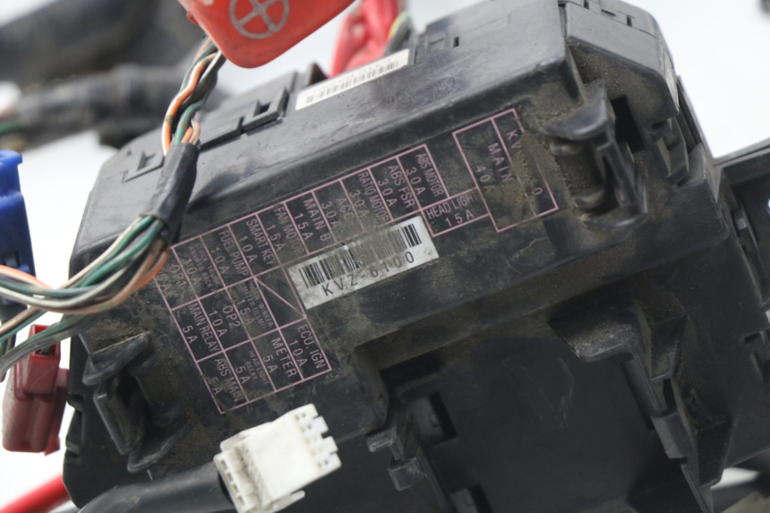 photo de CABLEADO HONDA NSS EX FORZA 250 (2008 - 2009)