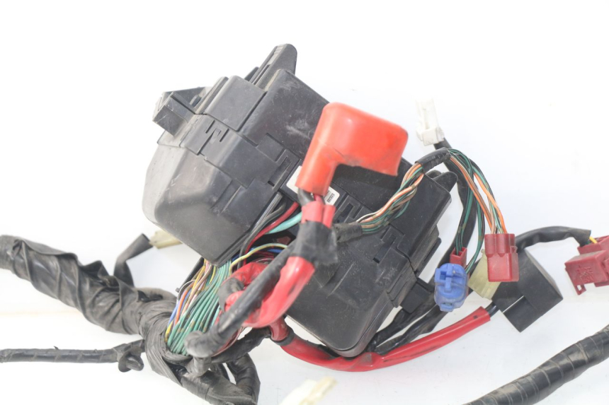 photo de CABLEADO HONDA NSS EX FORZA 250 (2008 - 2009)