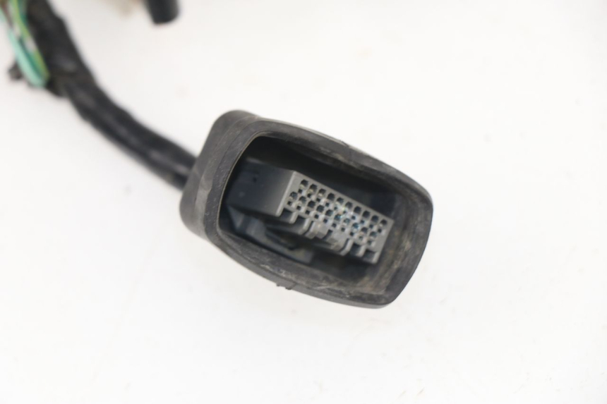 photo de CABLEADO HONDA PCX (JF28) 125 (2009 - 2011)