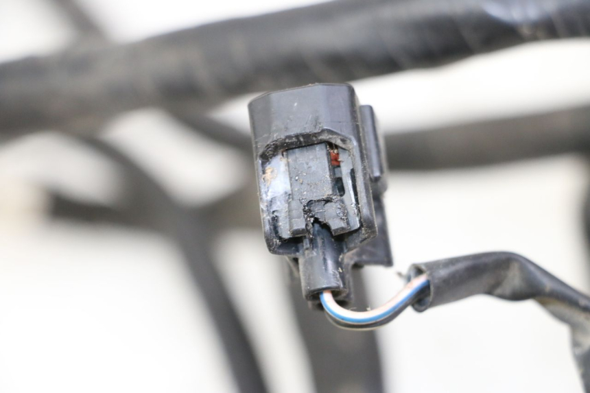 photo de CABLEADO HONDA PES PS I 125 (2006 - 2012)