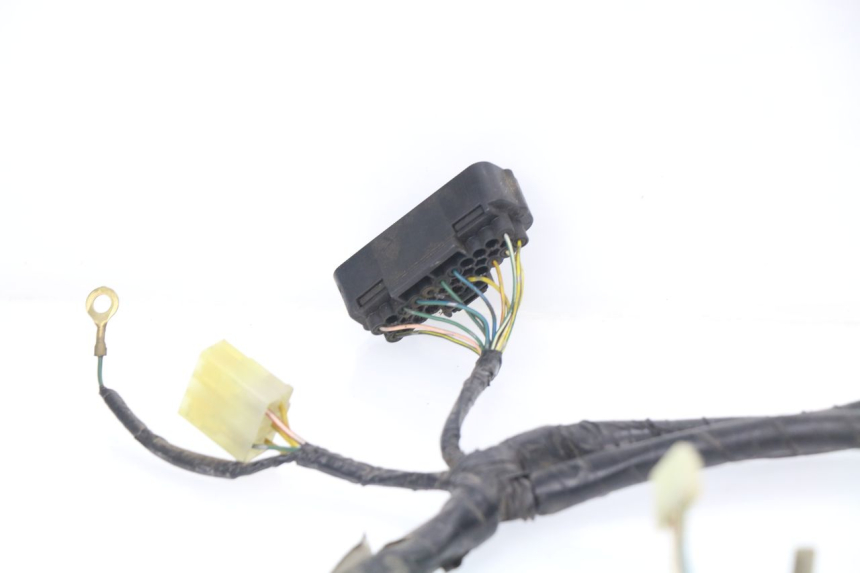 photo de CABLEADO HONDA SES DYLAN 125 (2002 - 2006)