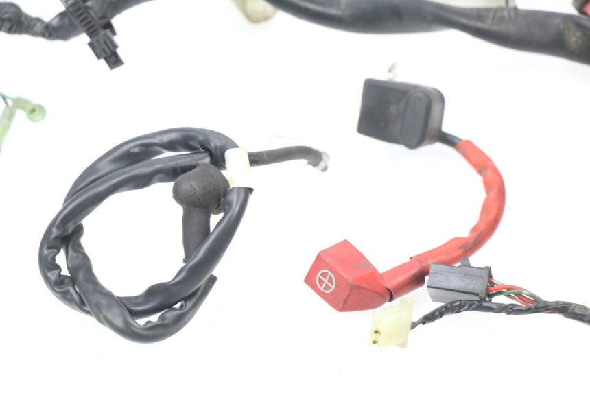 photo de CABLEADO HONDA SES DYLAN 125 (2002 - 2006)