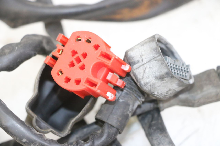 photo de CABLEADO PIAGGIO IE MP3 YOURBAN 300 (2011 - 2016)
