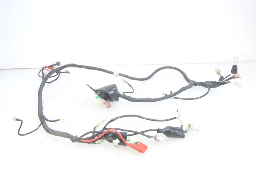 photo de CABLEADO JM MOTORS EVOLIS 4T 50 (2018 - 2022)