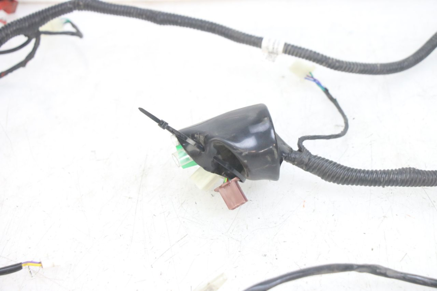 photo de CABLEADO JM MOTORS EVOLIS 4T 50 (2018 - 2022)