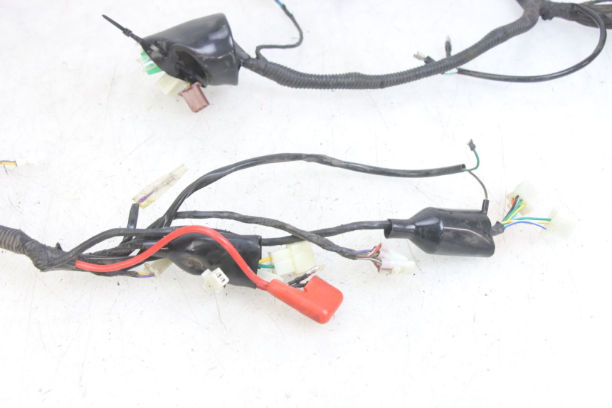 photo de CABLEADO JM MOTORS EVOLIS 4T 50 (2018 - 2022)