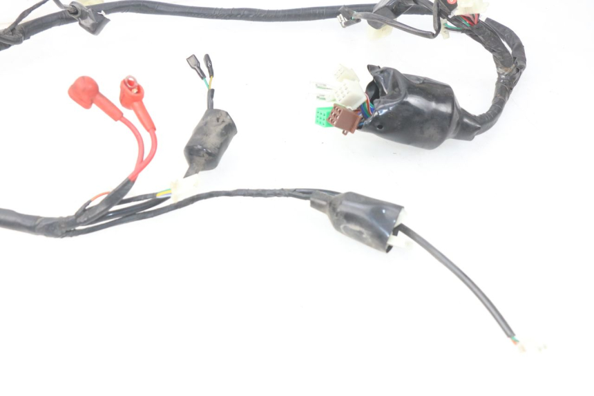 photo de CABLEADO JM MOTORS MIA 50 (2017 - 2020)