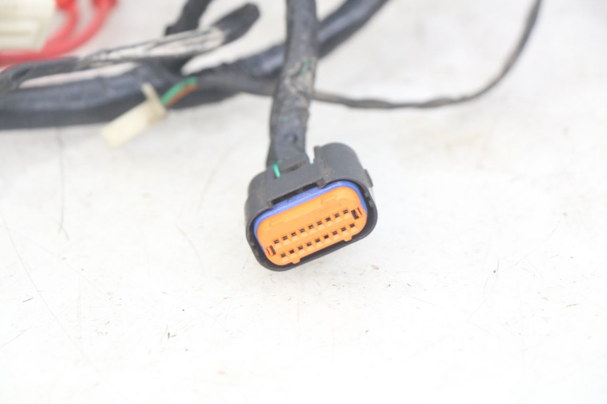 photo de CABLEADO JM MOTORS OLDIES RS 4T 50 (2021 - 2024)