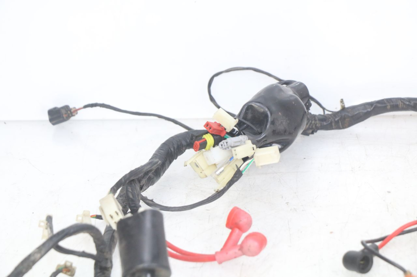 photo de CABLEADO JM MOTORS OLDIES RS 4T 50 (2021 - 2024)