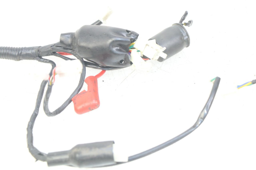 photo de CABLEADO JM MOTORS SANTANA 50 (2014 - 2020)