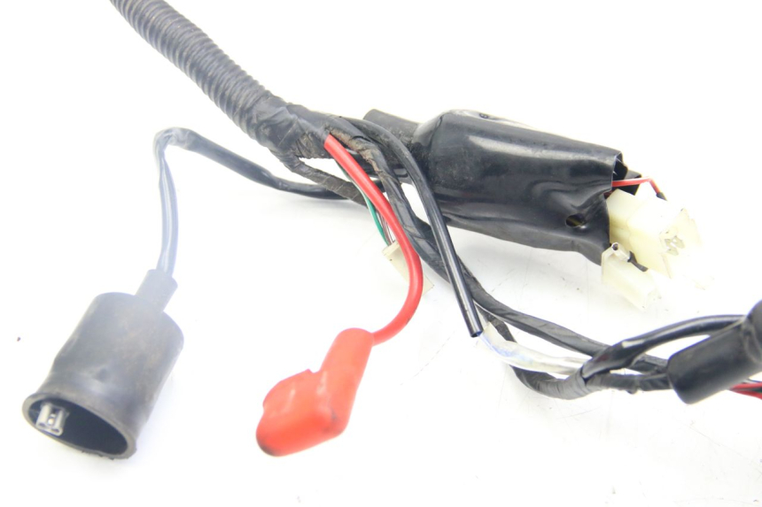 photo de CABLEADO JM MOTORS SANTANA 50 (2014 - 2020)