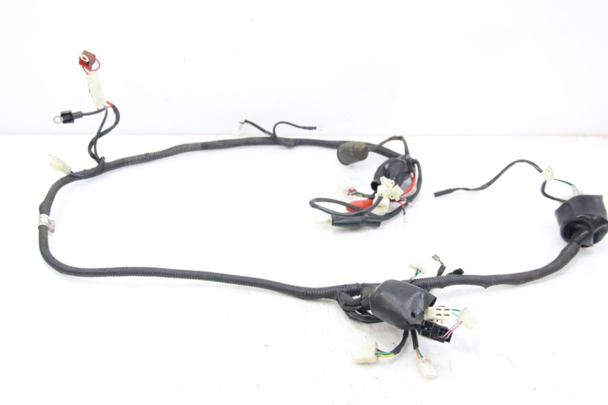 photo de CABLEADO JM MOTORS SANTANA 50 (2014 - 2020)