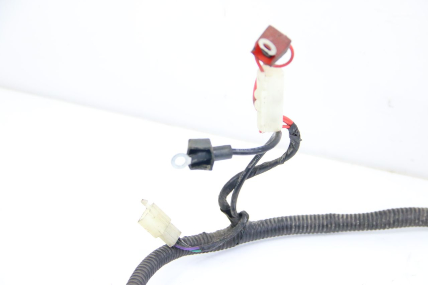 photo de CABLEADO JM MOTORS SANTANA 50 (2014 - 2020)