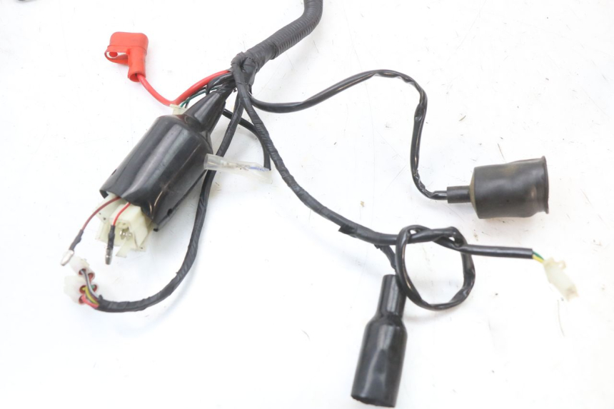 photo de CABLEADO JM MOTORS SANTANA 50 (2014 - 2020)