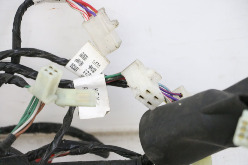 photo de CABLEADO SYM JOYMAX 125 (2010 - 2017)