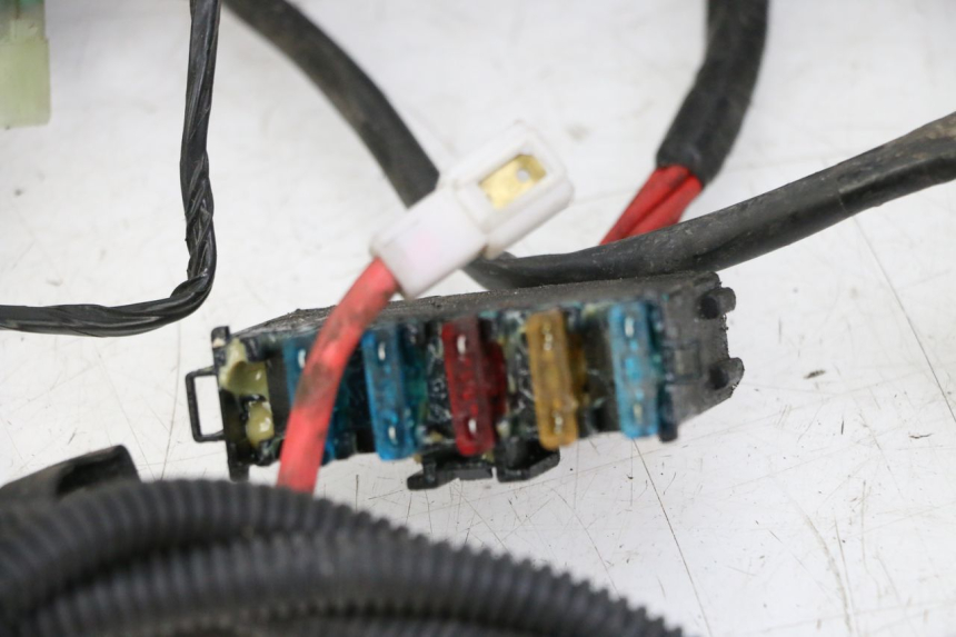 photo de CABLEADO SYM JOYMAX 125 (2010 - 2017)