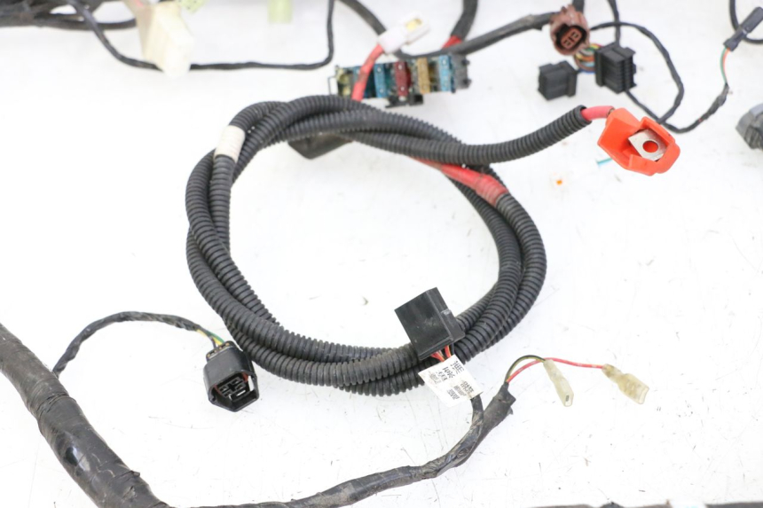 photo de CABLEADO SYM JOYMAX 125 (2010 - 2017)
