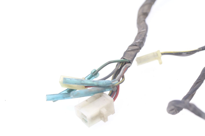 photo de CABLEADO KAWASAKI GTR 1000 (1994 - 2004)