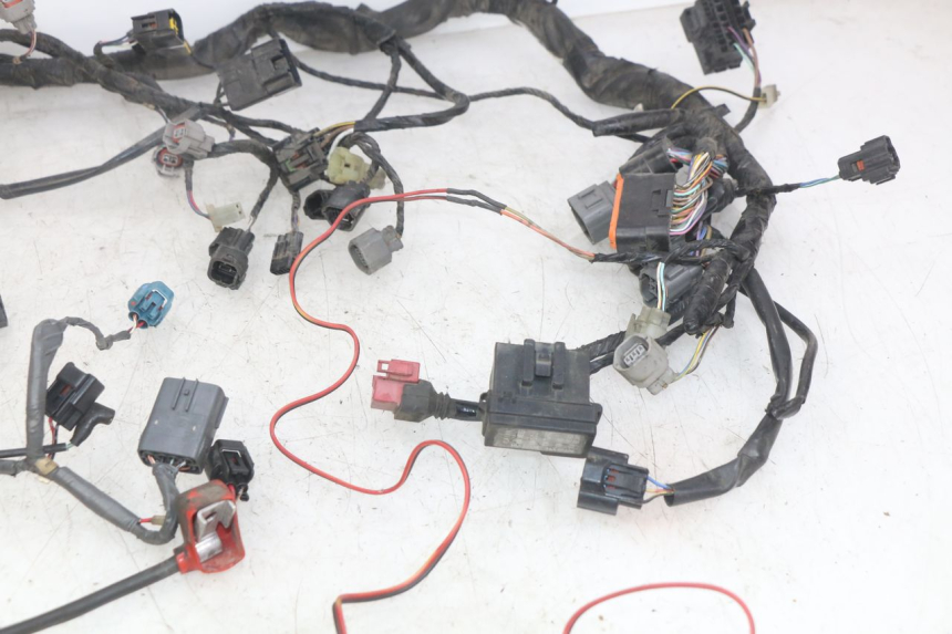 photo de CABLEADO KAWASAKI Z 750 (2007 - 2013)