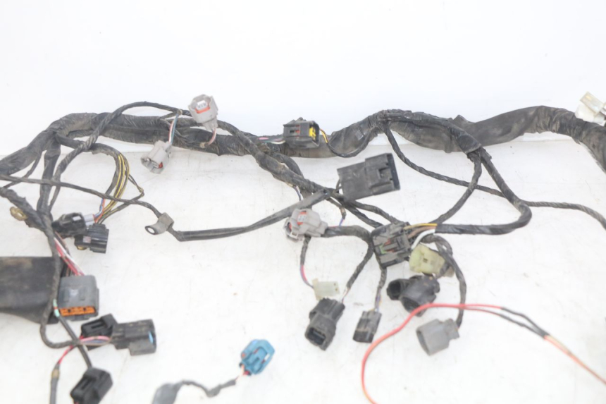 photo de CABLEADO KAWASAKI Z 750 (2007 - 2013)