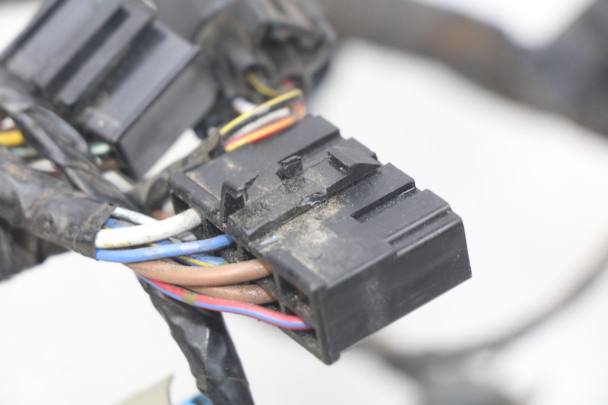 photo de CABLEADO KAWASAKI Z S 750 (2003 - 2006)