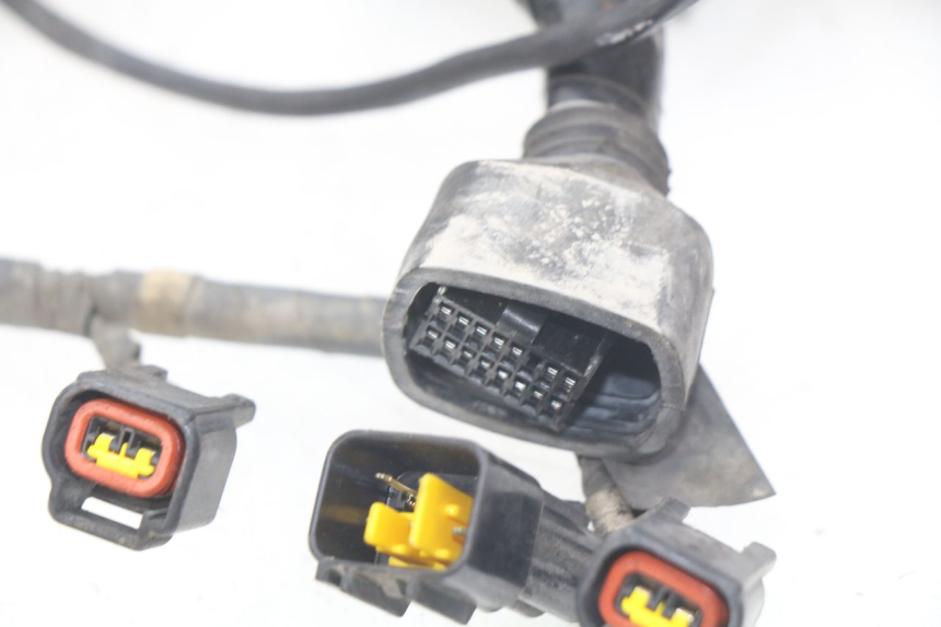 photo de CABLEADO KAWASAKI Z S 750 (2003 - 2006)