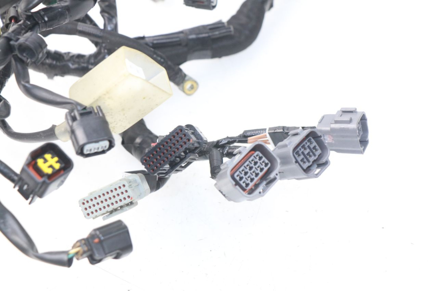 photo de CABLEADO KAWASAKI Z Z900 900 (2017 - 2019)