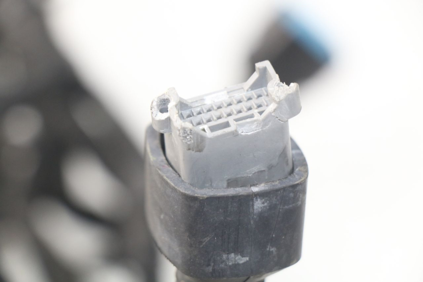 photo de CABLEADO KAWASAKI Z Z900 900 (2017 - 2019)