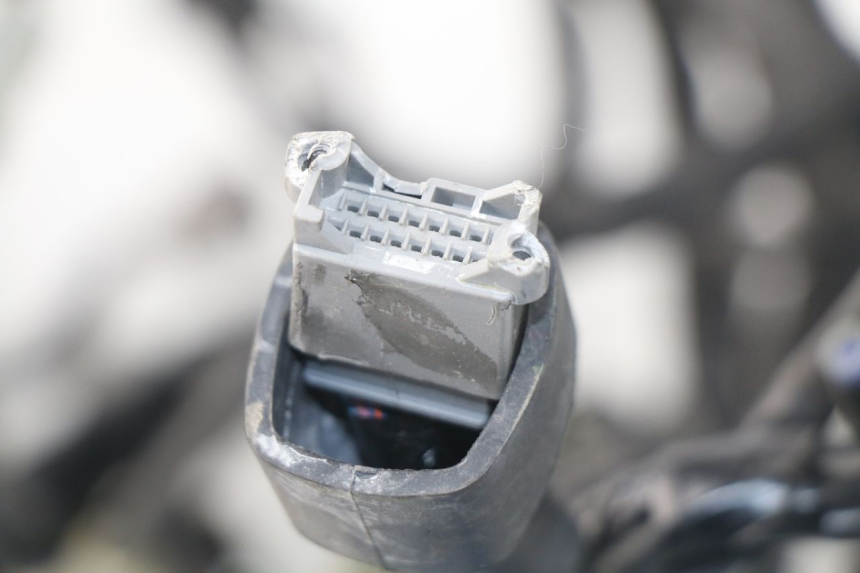 photo de CABLEADO KAWASAKI Z Z900 900 (2017 - 2019)