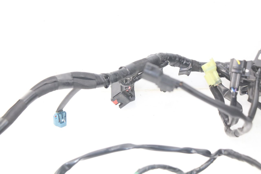 photo de CABLEADO KAWASAKI Z Z900 900 (2017 - 2019)