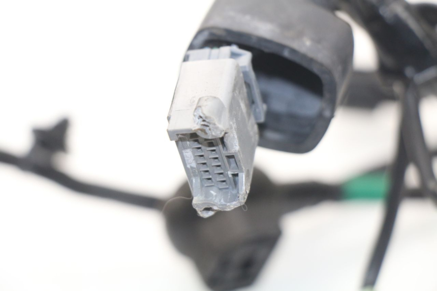 photo de CABLEADO KAWASAKI Z Z900 900 (2017 - 2019)