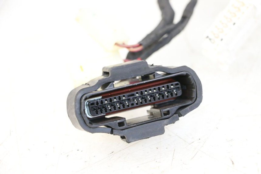 photo de CABLEADO KIDEN KD125-G 125 (2018 - 2022)