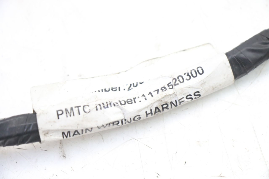 photo de CABLEADO PEUGEOT KISBEE 2T 50 (2010 - 2017)