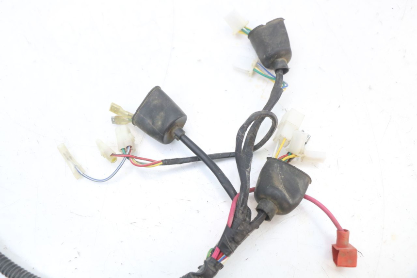 photo de CABLEADO ORCAL KITE 4T 50 (2019 - 2023)