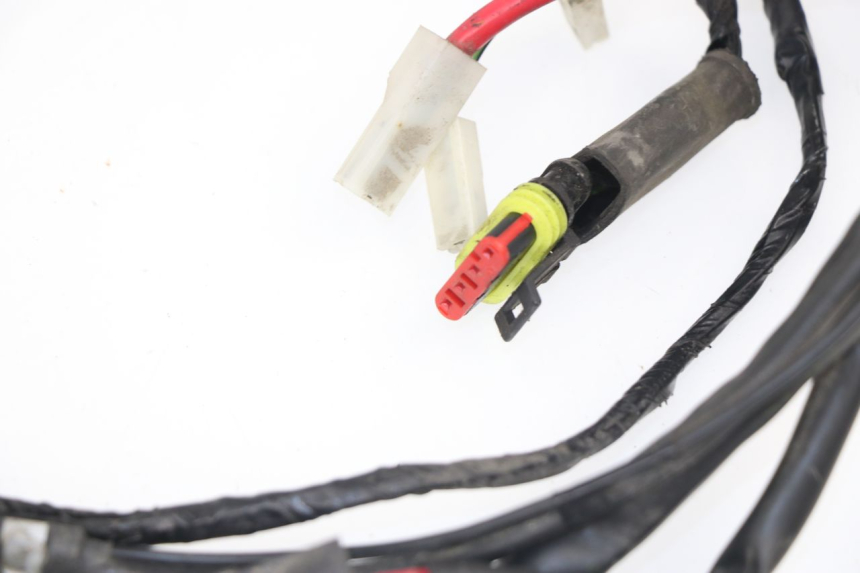 photo de CABLEADO PIAGGIO LIBERTY 4T 50 (2009 - 2015)
