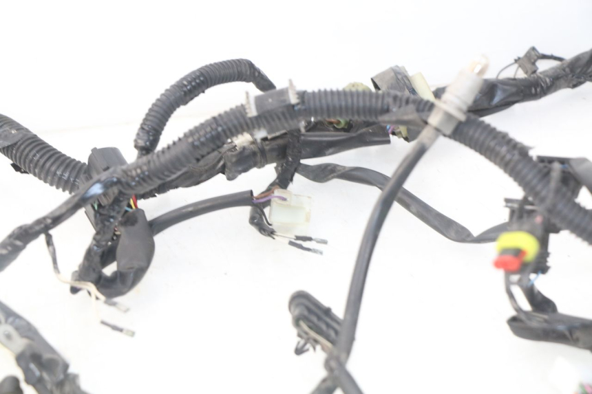 photo de CABLEADO PIAGGIO LIBERTY IGET 4T 50 (2015 - 2020)