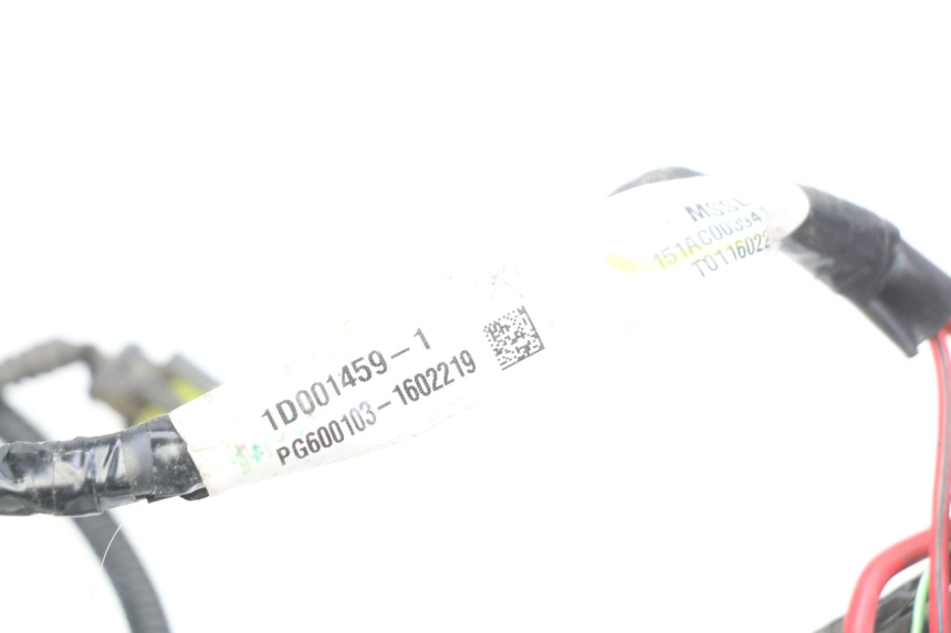 photo de CABLEADO PIAGGIO LIBERTY IGET 4T 50 (2015 - 2020)