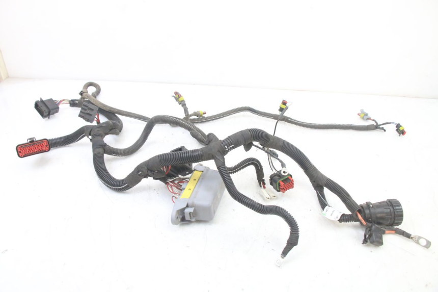 photo de CABLEADO LIGIER PULSE 3 1 (2014 - 2020)