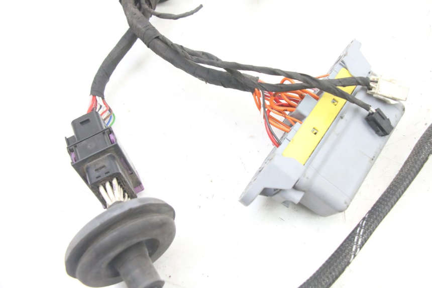 photo de CABLEADO LIGIER PULSE 3 1 (2014 - 2020)