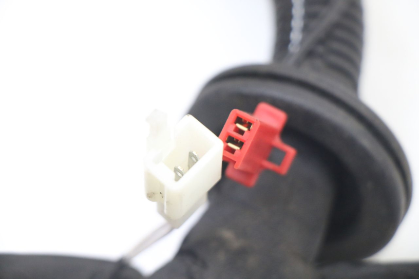 photo de CABLEADO LIGIER PULSE 3 1 (2014 - 2020)