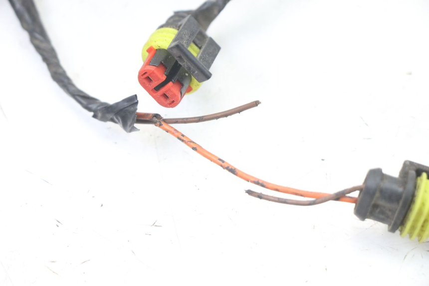 photo de CABLEADO LIGIER PULSE 3 1 (2014 - 2020)