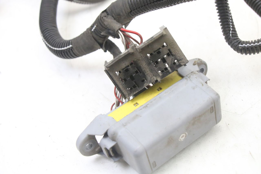 photo de CABLEADO LIGIER PULSE 3 1 (2014 - 2020)