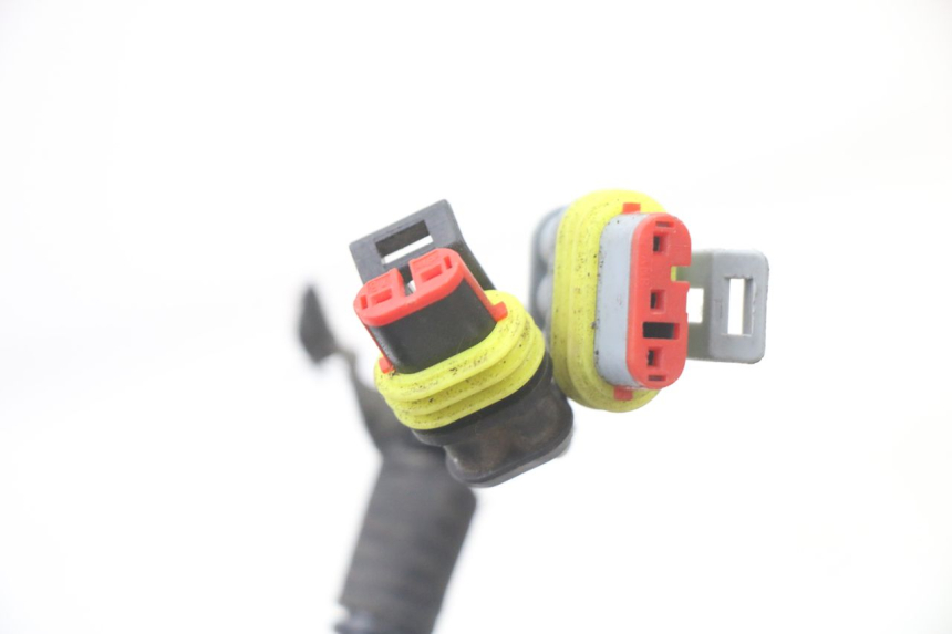 photo de CABLEADO LIGIER PULSE 3 1 (2014 - 2020)