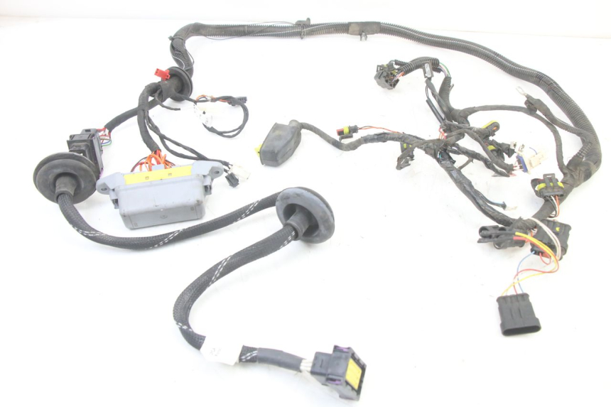 photo de CABLEADO LIGIER PULSE 3 1 (2014 - 2020)
