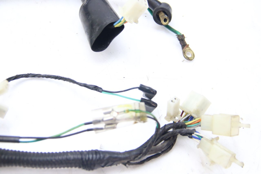 photo de CABLEADO LONGJIA DIGITA 4T 50 (2019 - 2022)